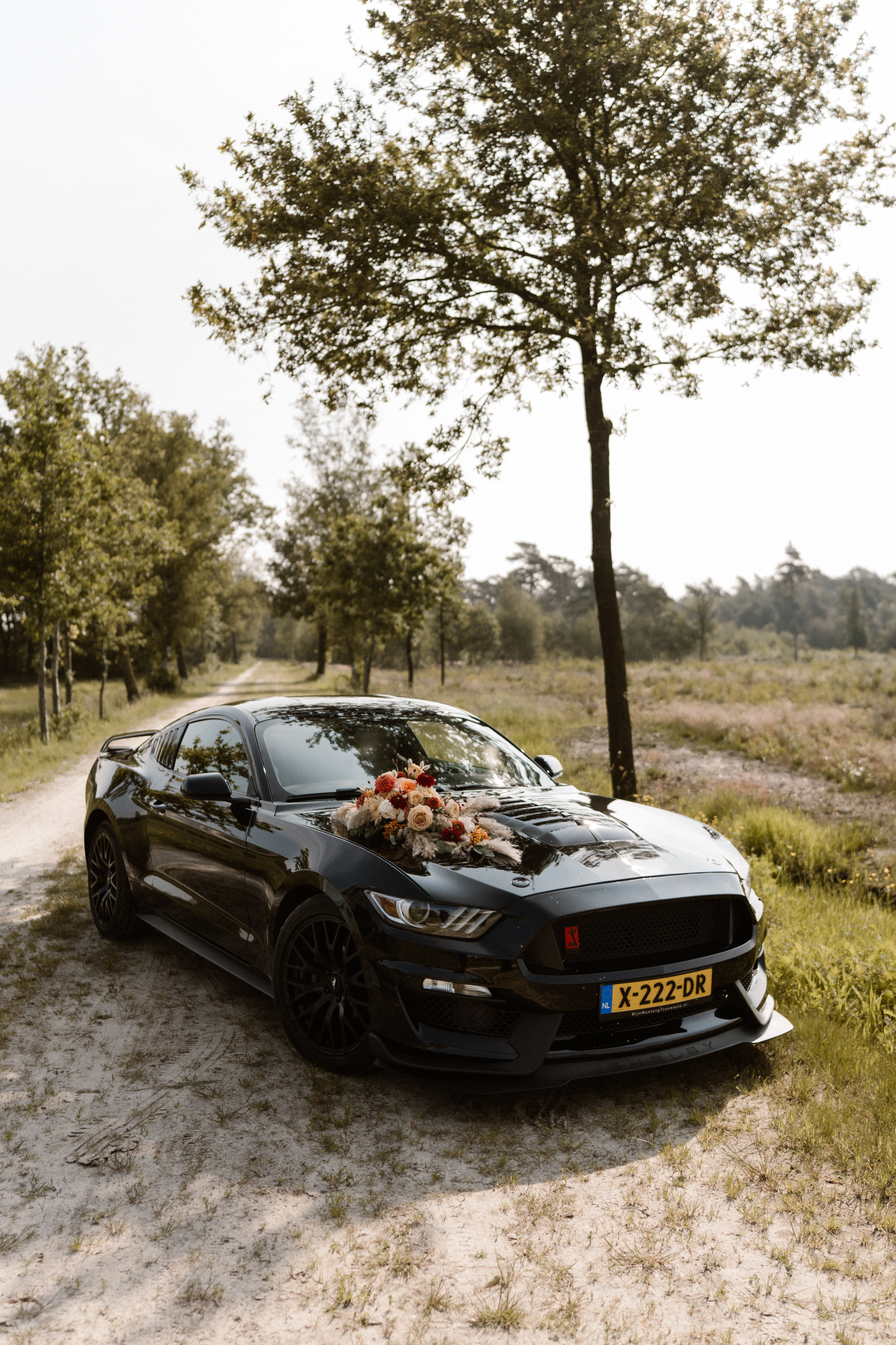 MijnMustangTrouwauto — portfolio 3