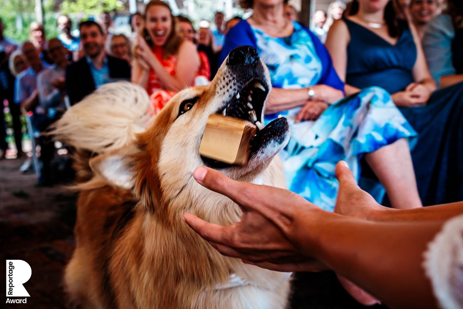Best Day Ever Fotografie — portfolio 6