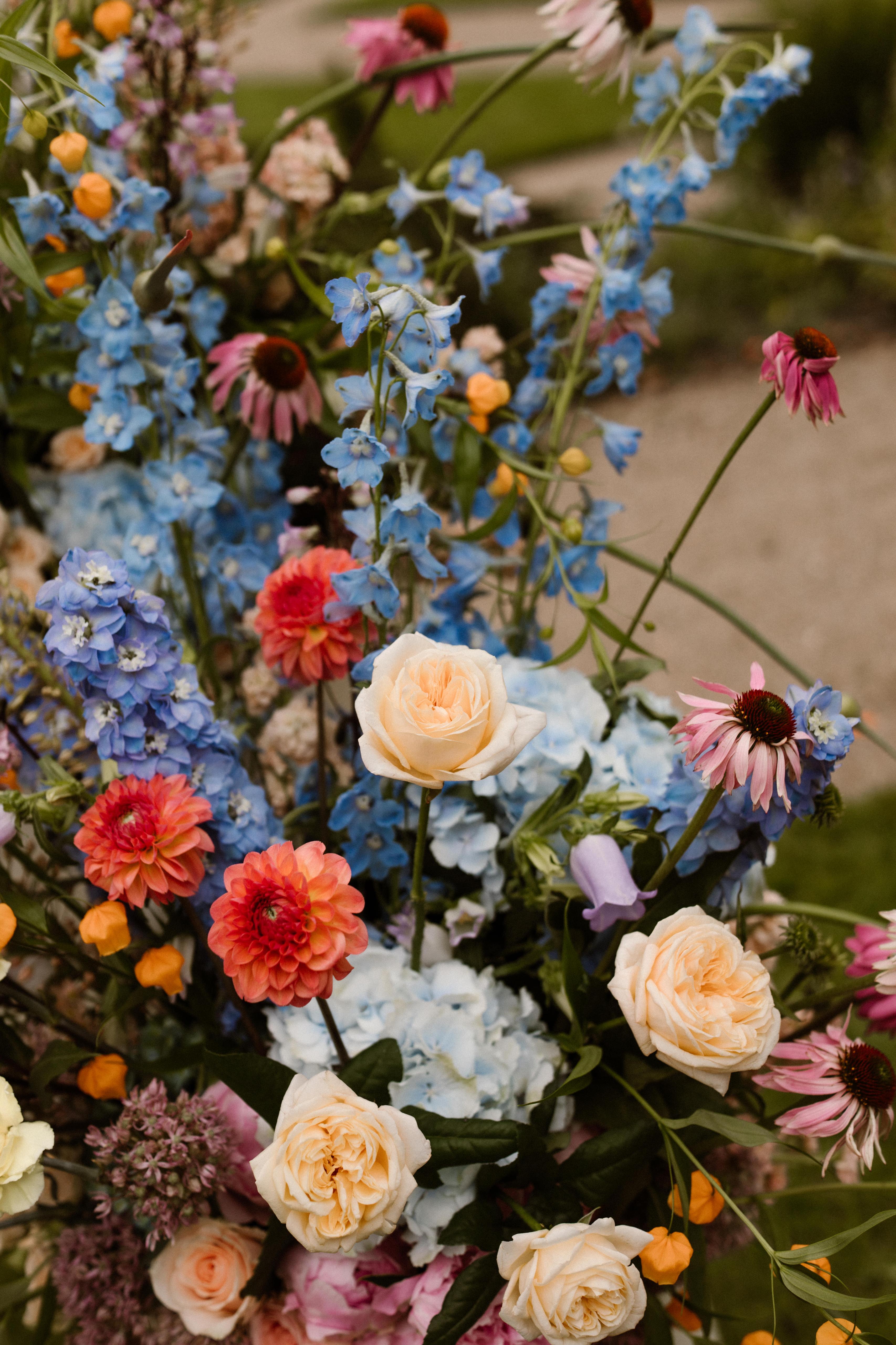 Studio BLOOMED — portfolio 5